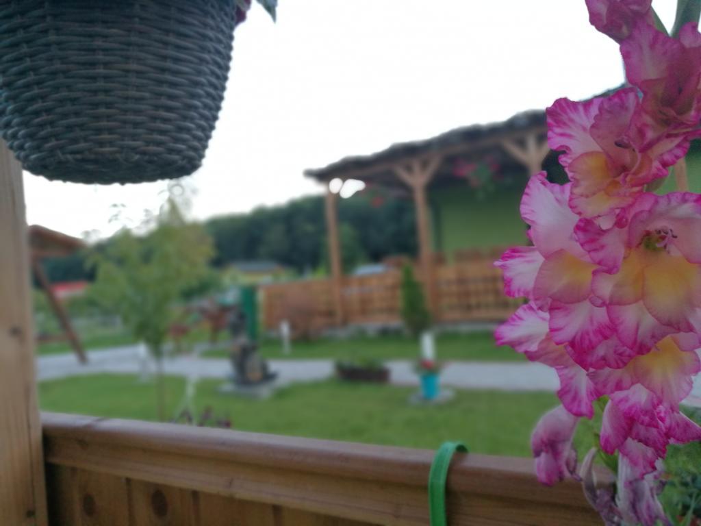 Agropensiunea Valea Fagilor Luncavita Esterno foto