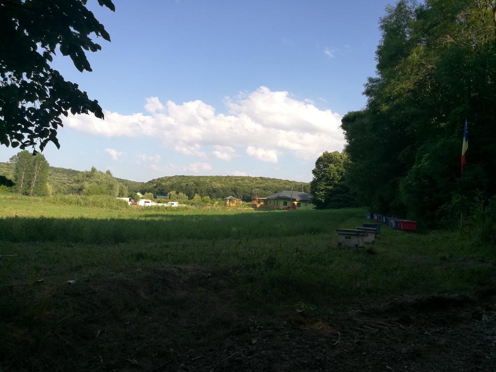 Agropensiunea Valea Fagilor Luncavita Esterno foto