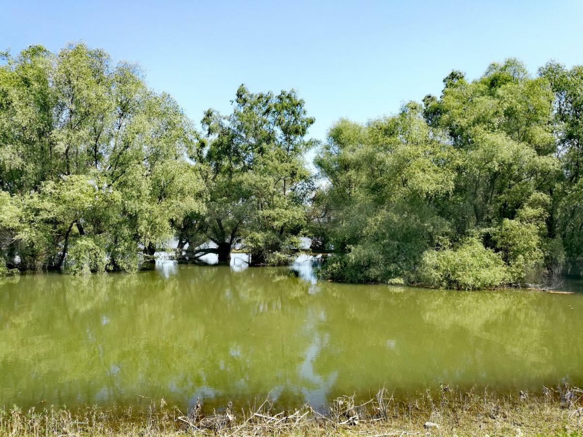 Agropensiunea Valea Fagilor Luncavita Esterno foto