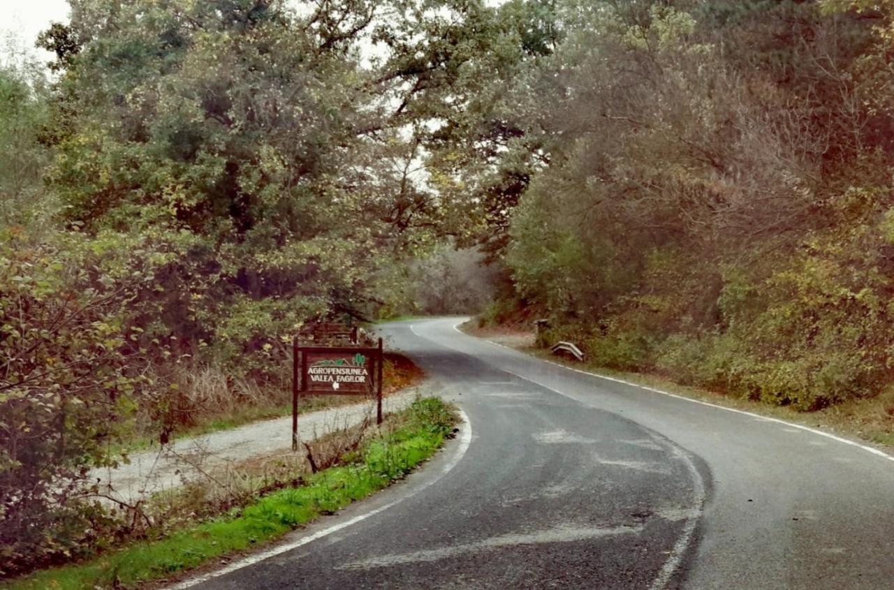 Agropensiunea Valea Fagilor Luncavita Esterno foto