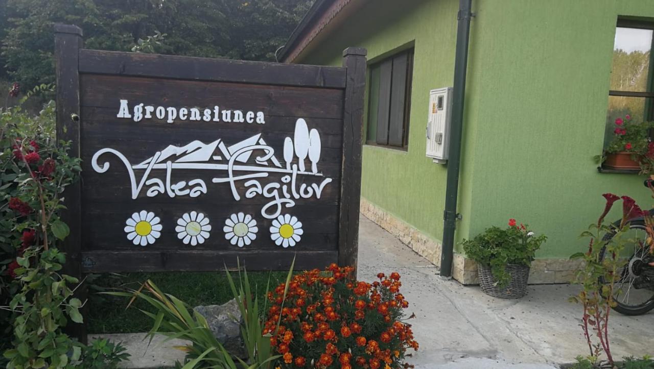 Agropensiunea Valea Fagilor Luncavita Esterno foto